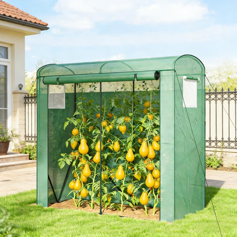 Serre stable, mini serre, Vert