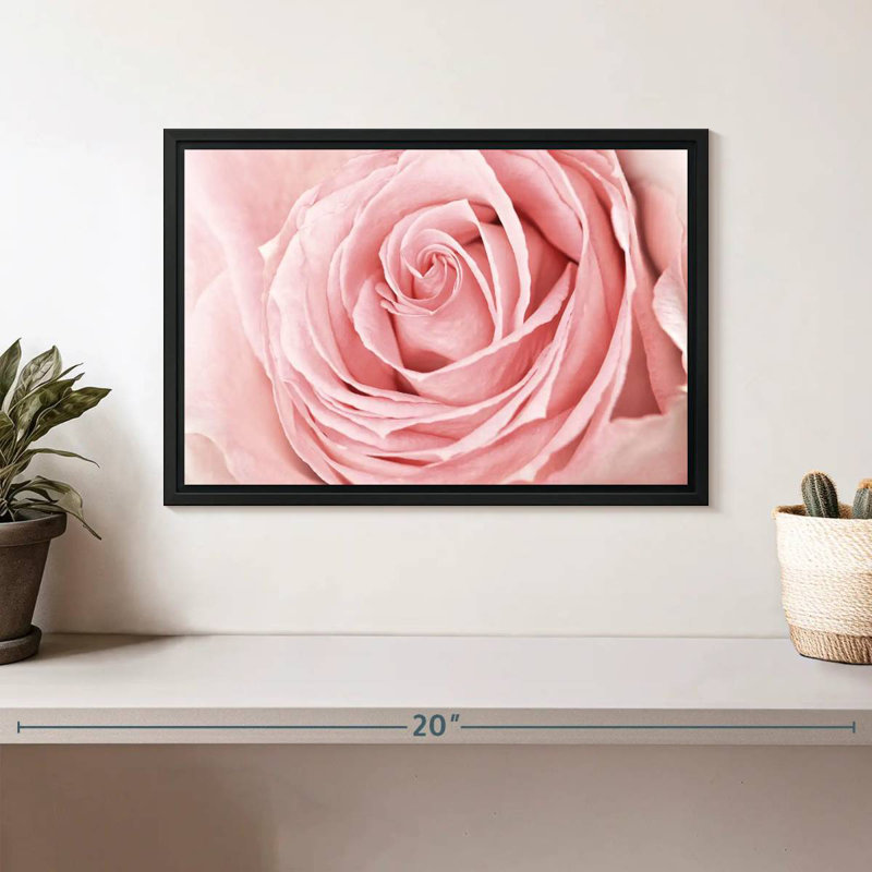 Rose rose fraîche, Cadre flottant noir, 37 po x 25 po
