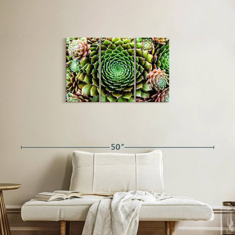 Harnek fleur comme plantes grasses, H 20 po x l 33 po