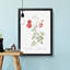 Red Roses by Pierre-Joseph Redoute - Picture Frame Painting Print-55598611-55598613