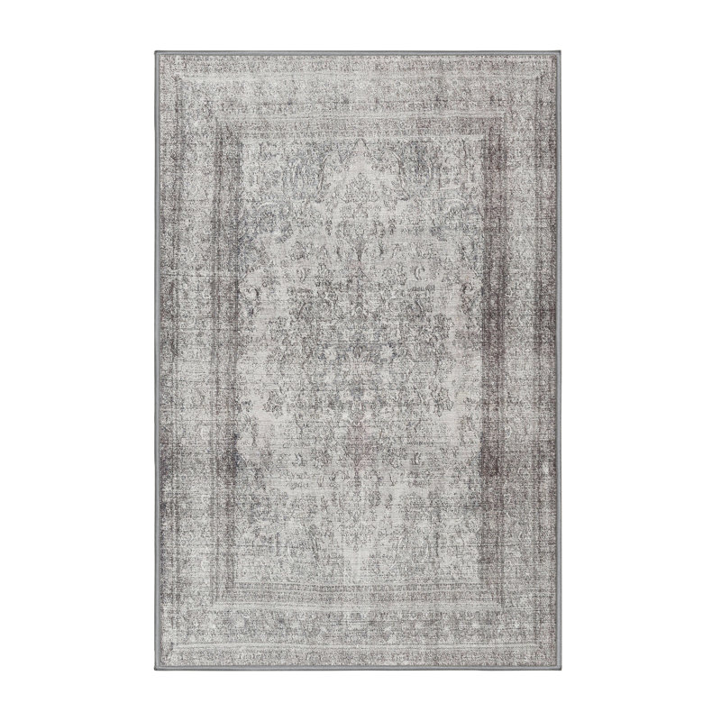 Tapis gris/brun clair traditionnel, Rectangle 5 pi x 7 pi