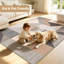 Rectangle 120 cm x 180 cm Striped Area Rug-1768746662