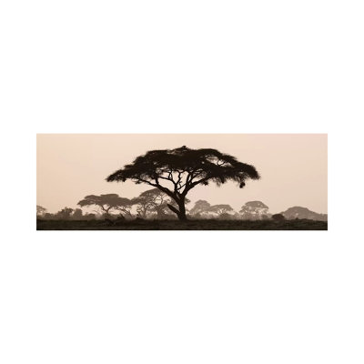 Africa, Kenya, Maasai Mara National Reserve by Jaynes Gallery - Wrapped Canvas Panoramic Print
