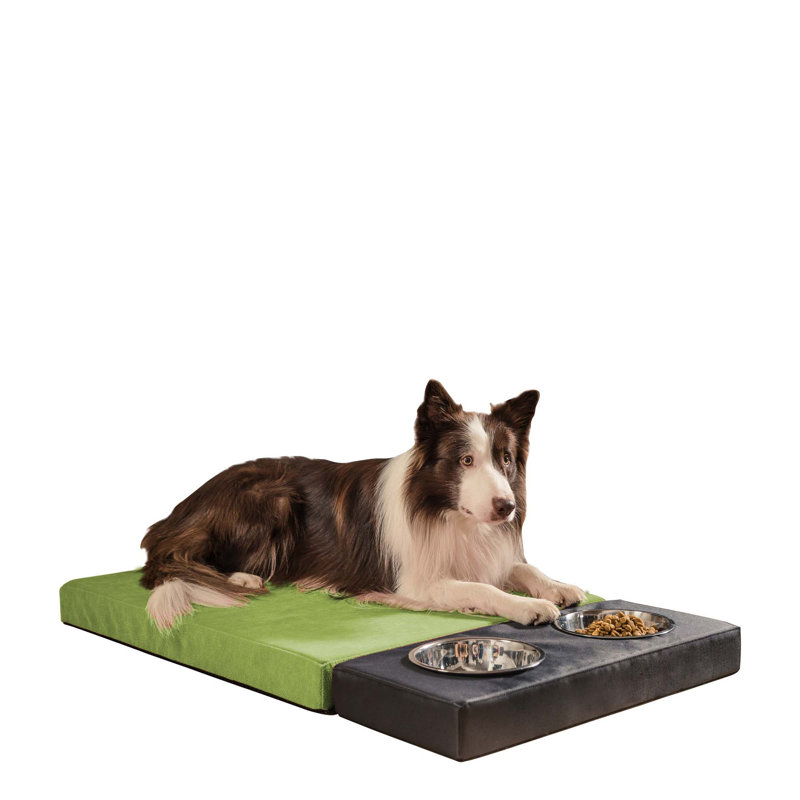 Orthopedic Microfibre Pet Bed, Green