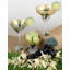 Grapes 'n Vines 12 oz. Margarita Glass