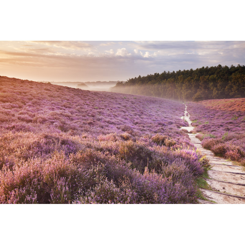 Sunrise by Sara_winter - Wrapped Canvas Print, 20cm H x 30cm W