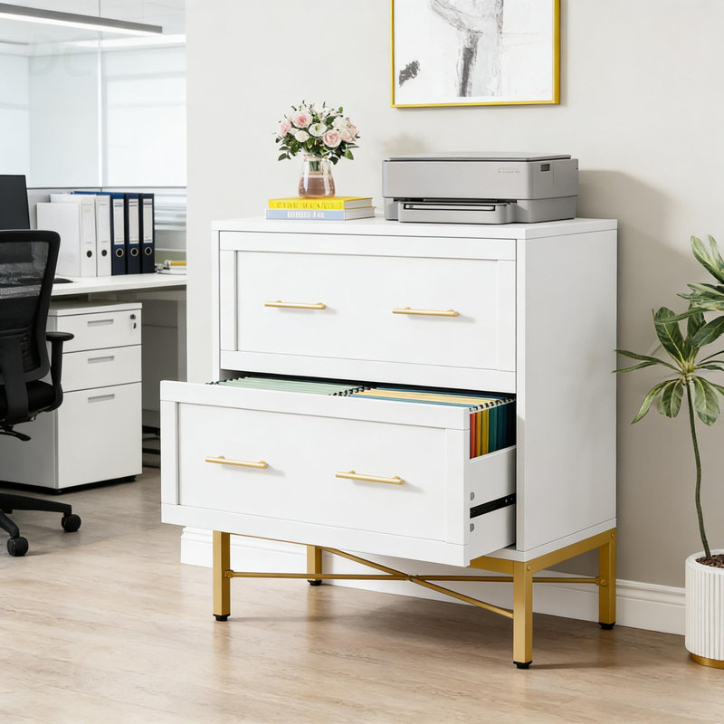 Classeur de bureau, classeur à 2 tiroirs, armoire de rangement au design épuré, buffet, Doré / Blanc