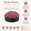 Sedum disposé dans un pot en fibre de pierre-219174582