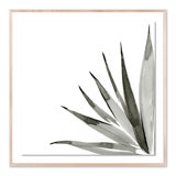 Agave I Print by Jess Engle