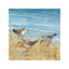 Sandpipers II by Nan - Wrapped Canvas Print-1673021115