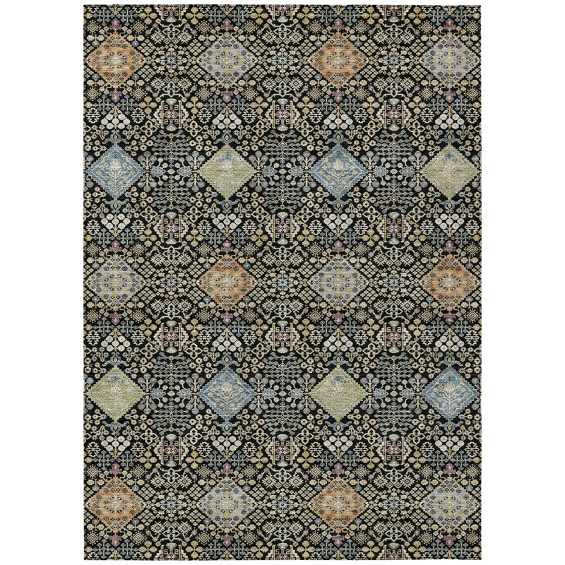 Machine Washable Indoor/Outdoor Chantille ACN2440 Traditional Rug, 10' x 14', Black