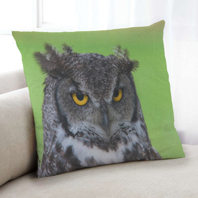 Owl 25 Throw Pillow