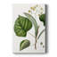 «Foliage and Blooms I» - peinture sur toile tendue-1728079186