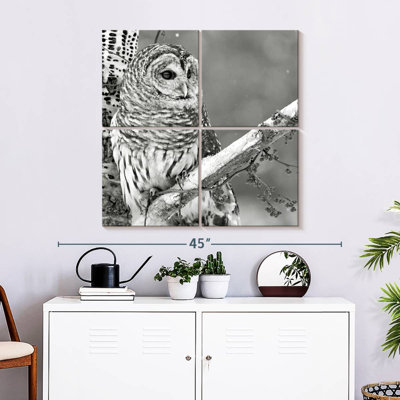 Brampt White Owl BW