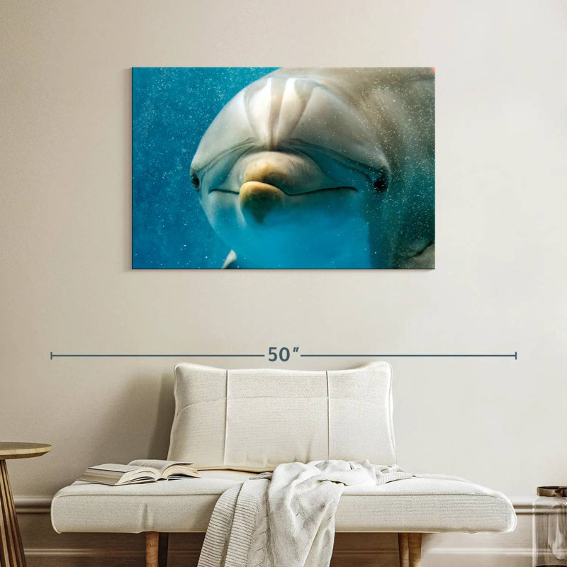 Brampt Nosy Dolphin, 26" H x 39" W