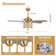 Zoraida 52'' Ceiling Fan with Light Kit