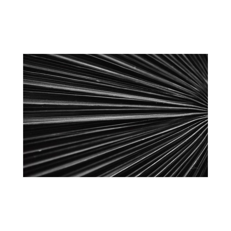 Tropical IV by Aledanda - Wrapped Canvas Gallery-Wrapped Canvas Giclée, 101.6 cm H x 66.04 cm W x 1.91 cm D