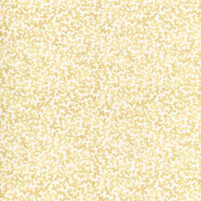 Coralcoast