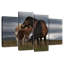 Poney gratuit Brampt-108783872