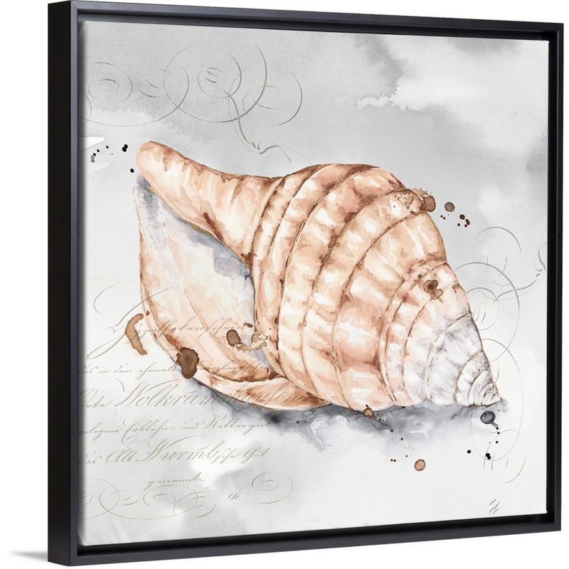 Reproduction d’art sur toile, "blush Shell I" par Eva watts, H 18 po x l 18 po x P 1,75 po, Cadre noir