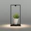 Curiosity LED Table Lamp-97674082-97674080