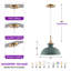 Luminaire suspendu simple 1 lumière-1153126891