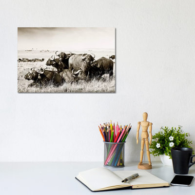 Allied Buffaloes 1 Piece Wall Art on Canvas