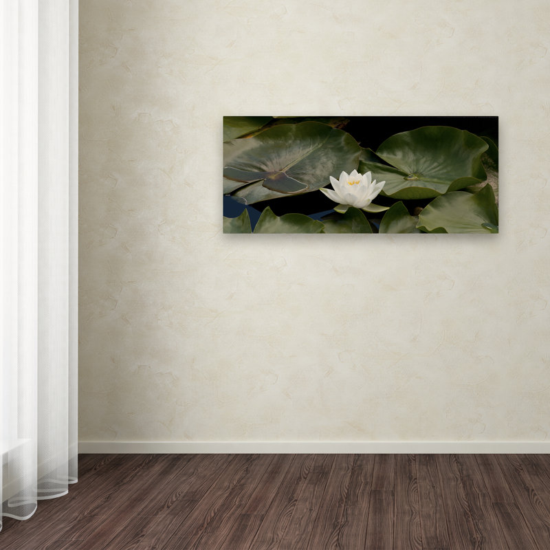 « one white water lily » par kurt shaffer, reproduction de photo sur toile tendue, H 14 po x l 32 po x P 2 po