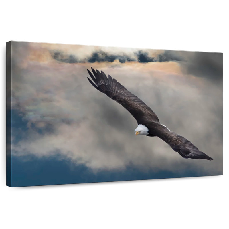 Brampt Soaring Eagle, 16" H x 24" W