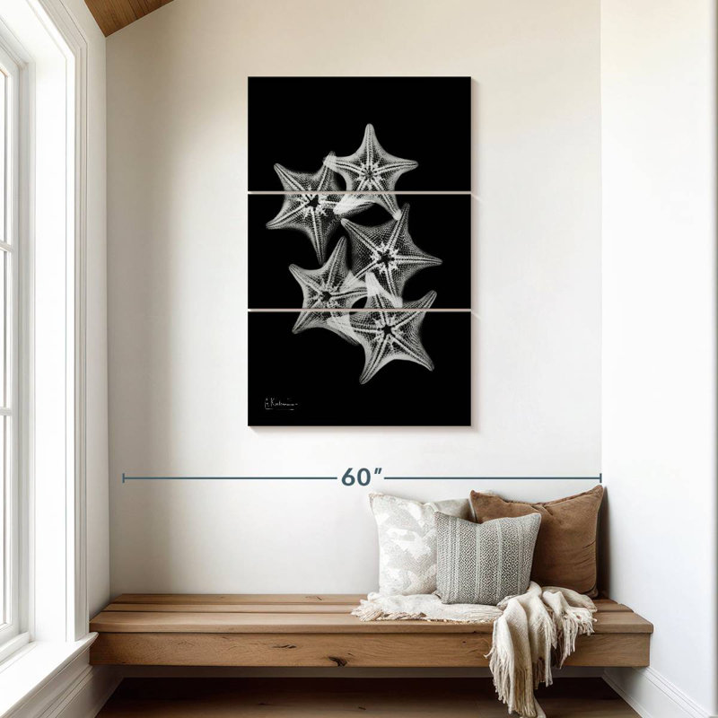 Brampt Starfish Collage, 45" H x 28" W