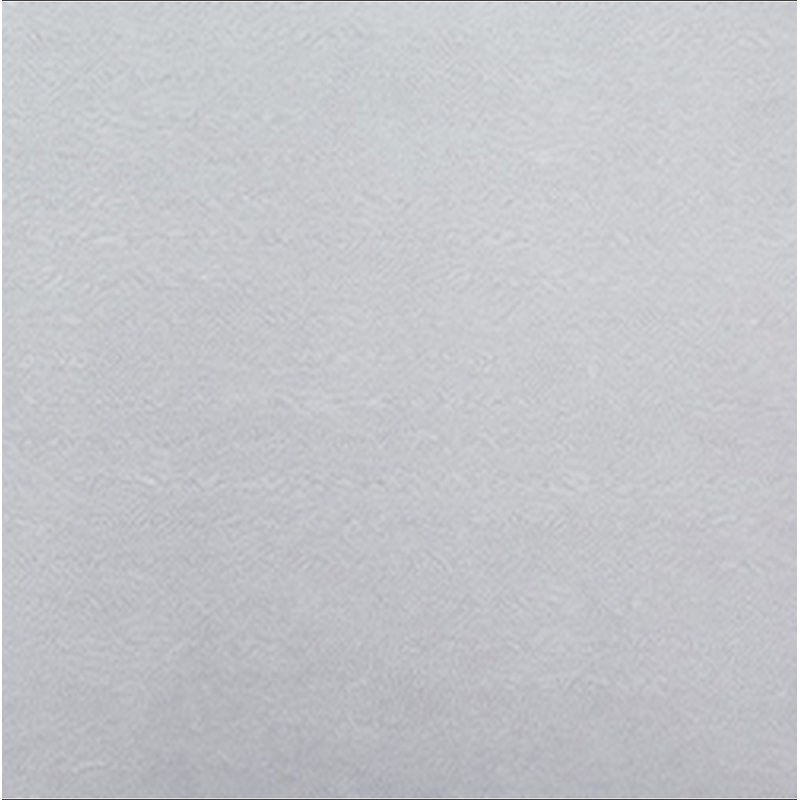 Ensemble de 2 chaises de salle à manger ARIYA GRIS / BLANC, Gris