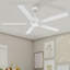 Ventilateur de plafond standard intelligent 60 pouces à 5 pales de 60 po avec ensemble d'éclairage inclus, télécommande -894034447