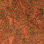 Wesco the Whole Truth Fabric