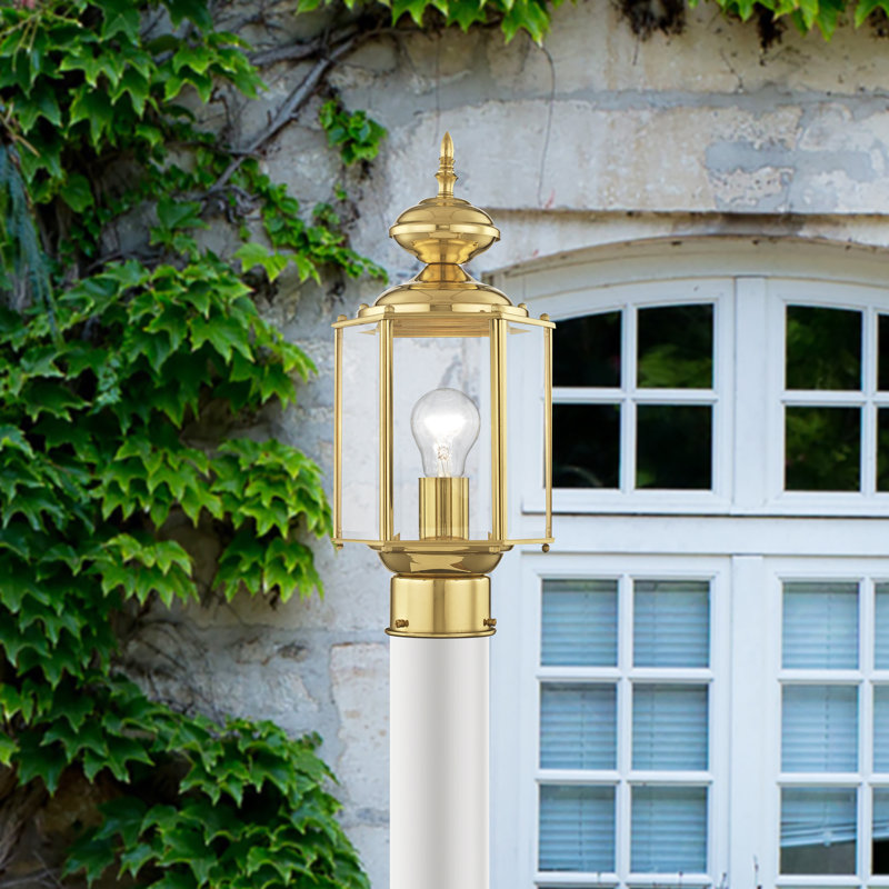 Amberdawn Lantern Head