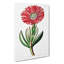 Marigold Flower - Wrapped Canvas-55323457