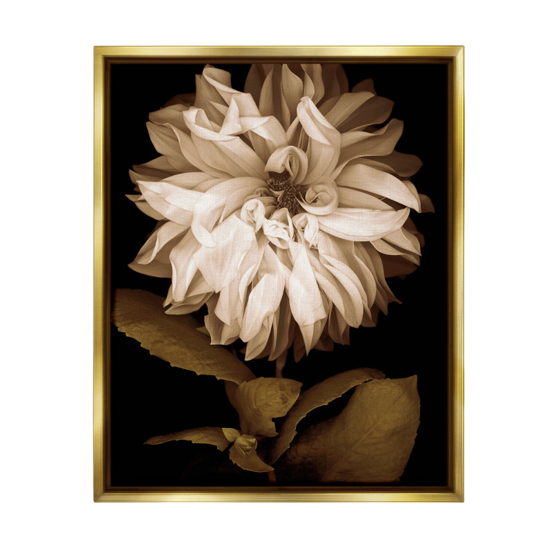 " Modern White Chrysanthemum Petals " by Caroline Kelly, 21" H x 17" W x 1.7" D, Metallic Gold Floater Frame