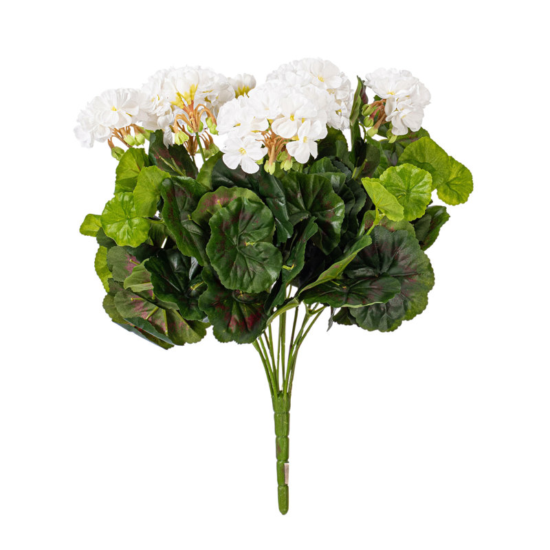 Géranium