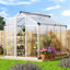 Serre en polycarbonate argenté 6 pi x 8 pi avec évent de toit et porte coulissante verrouillable, cadre en aluminium robuste pour jardin, cour ou patio