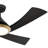 Vespucci 52'' Ceiling Fan with LED Lights-112461114