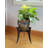 Dassel Metal Plant Stand-247923704
