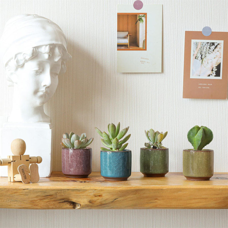 Abyade Ceramic Pot Planter