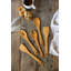 Natural Elements 4-Piece Wood Fibre Utensil Set