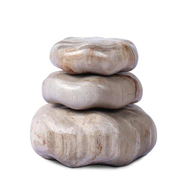Petrified Wood Organic Sculpture, Light Brown