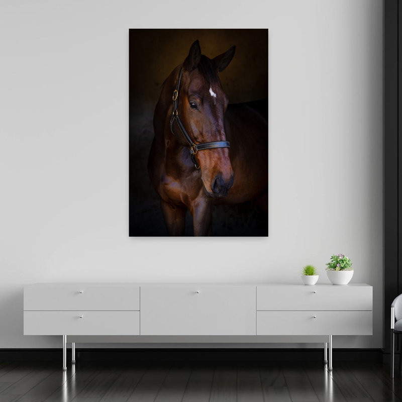 Art contemporain Portrait de cheval contemporain, H 60 po x l 40 po