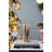 Jasdev 3.1 " LED Lantern