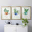 Basilic en pot - ensemble de 3 reproductions de cadres photo-2115350940-2115350943