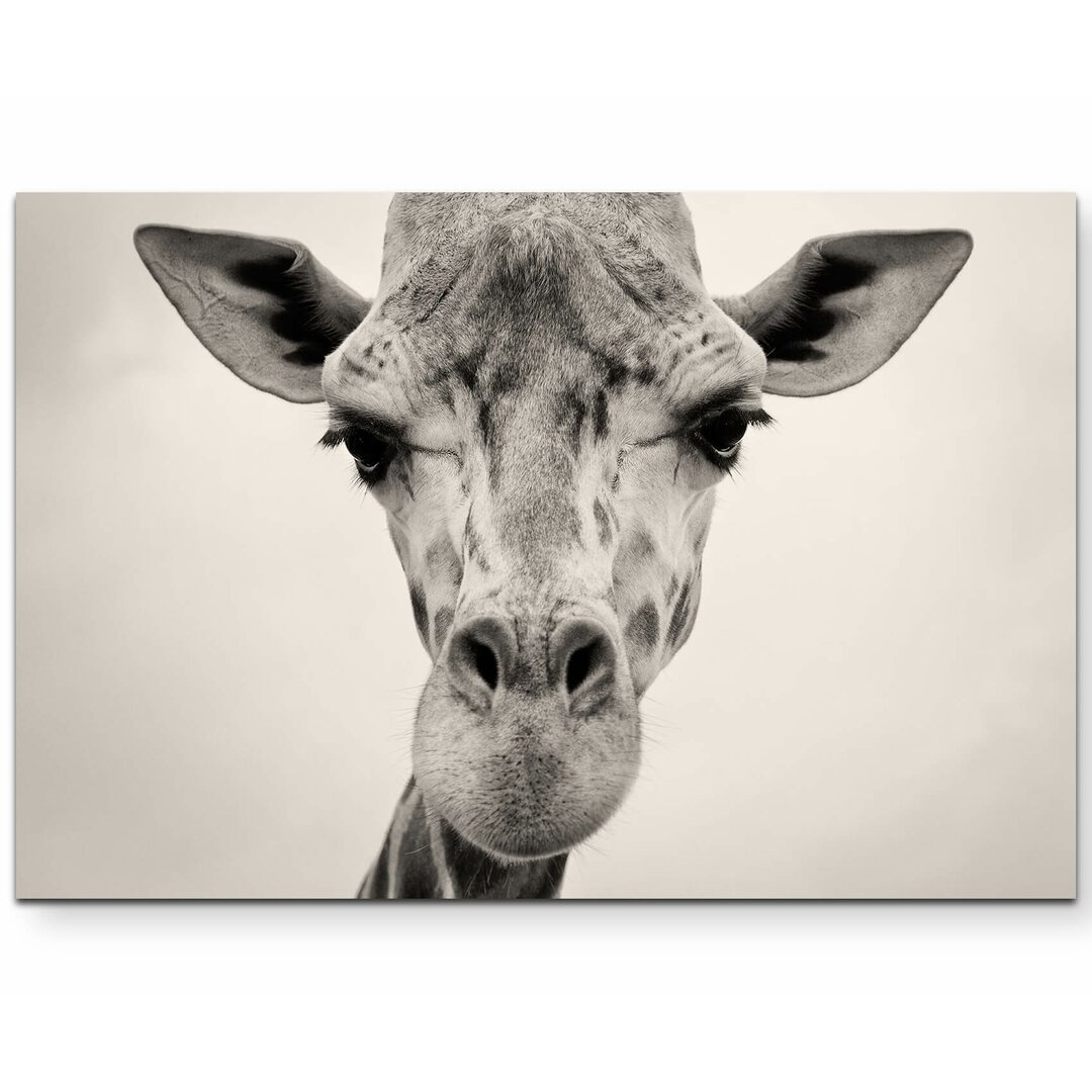 Leinwandbild Kopf einer Giraffe