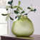 Steave Glass Table Vase