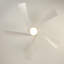 Ventilateur de plafond moderne Karlena de 52 po avec lumière et télécommande (ensemble de 2)-133011334