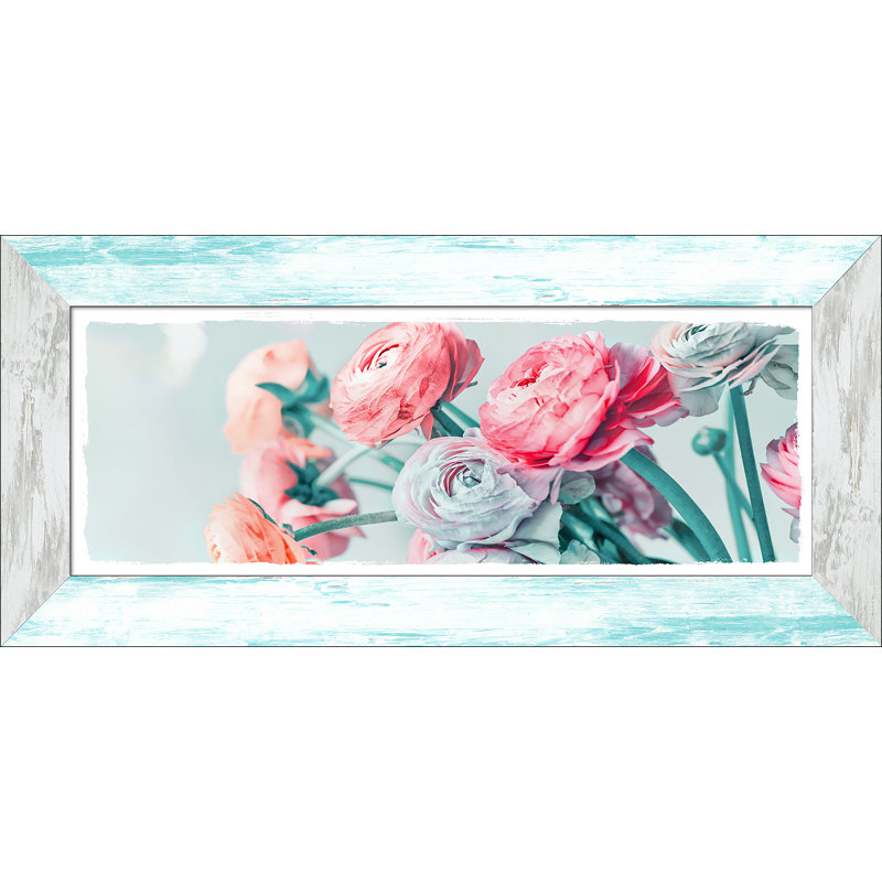 Colourful Ranunculus - Single Picture Frame Print